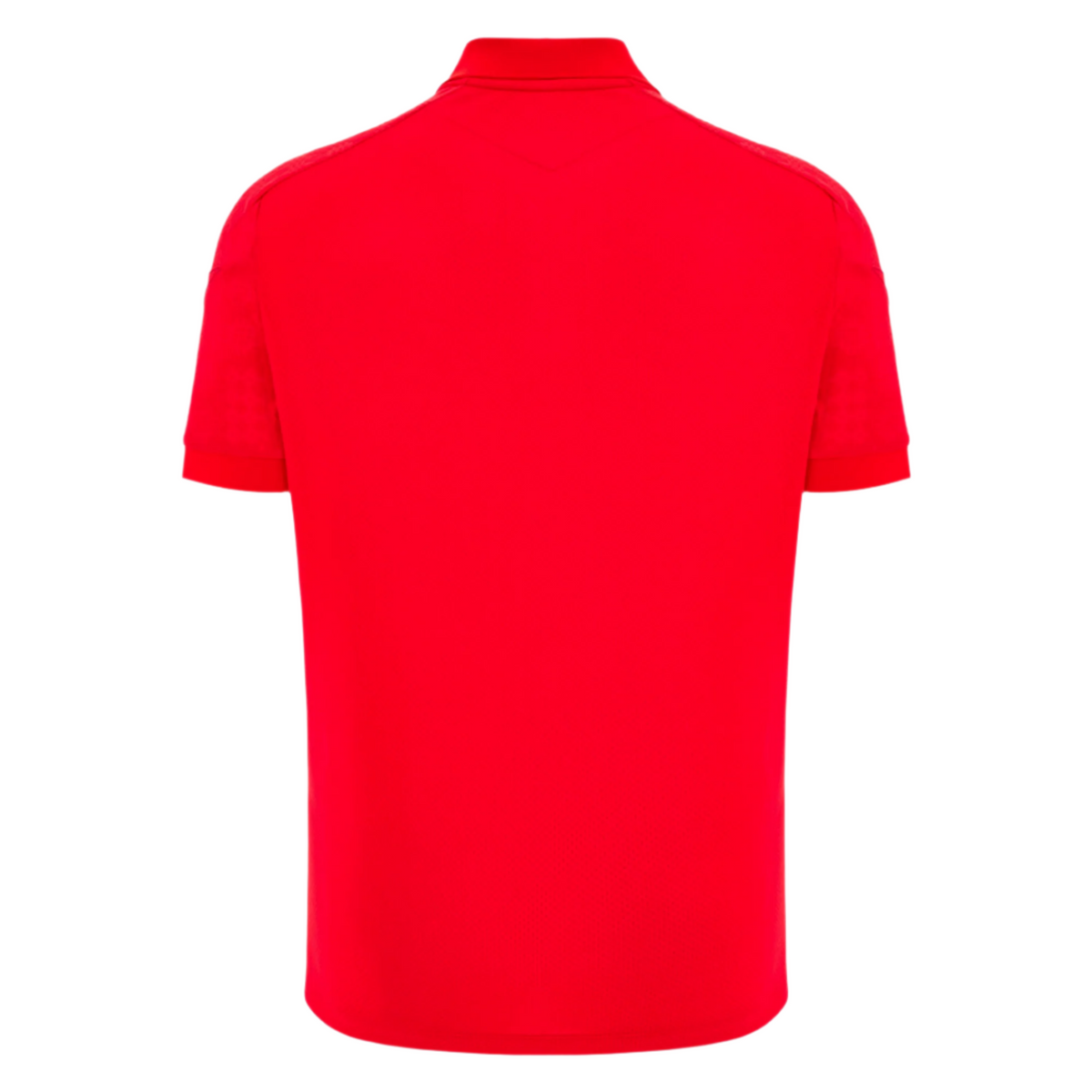 The Wales 25/26 Player Travel Poly Polo by Macron is shown from the back against a light gray background.
