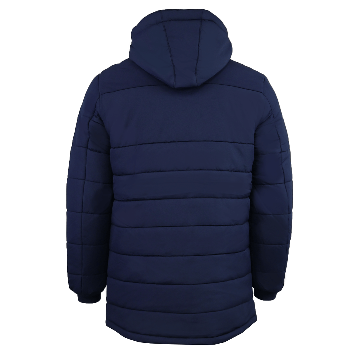 The USA Rugby 25/26 Padded Jacket by Macron, featuring a navy blue color and hood, is shown from the back against a plain white background.