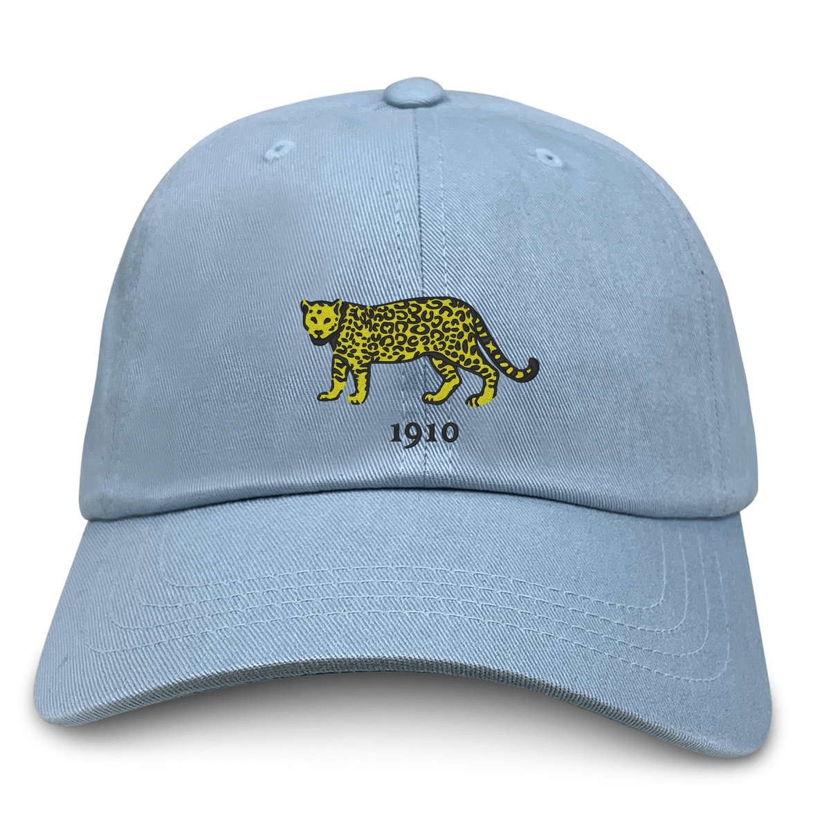 The EMB S&S Activewear Nations of Rugby Argentina Vintage Dad Cap features a light blue design with a yellow and black leopard graphic above "1910," celebrating Rugby Nation style.