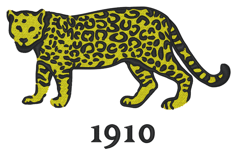 The Nations of Rugby Argentina Vintage Dad Cap by EMB S&S Activewear features a yellow and black embroidered jaguar above a black "1910," showcasing Rugby Nation-inspired vintage style on a transparent background.