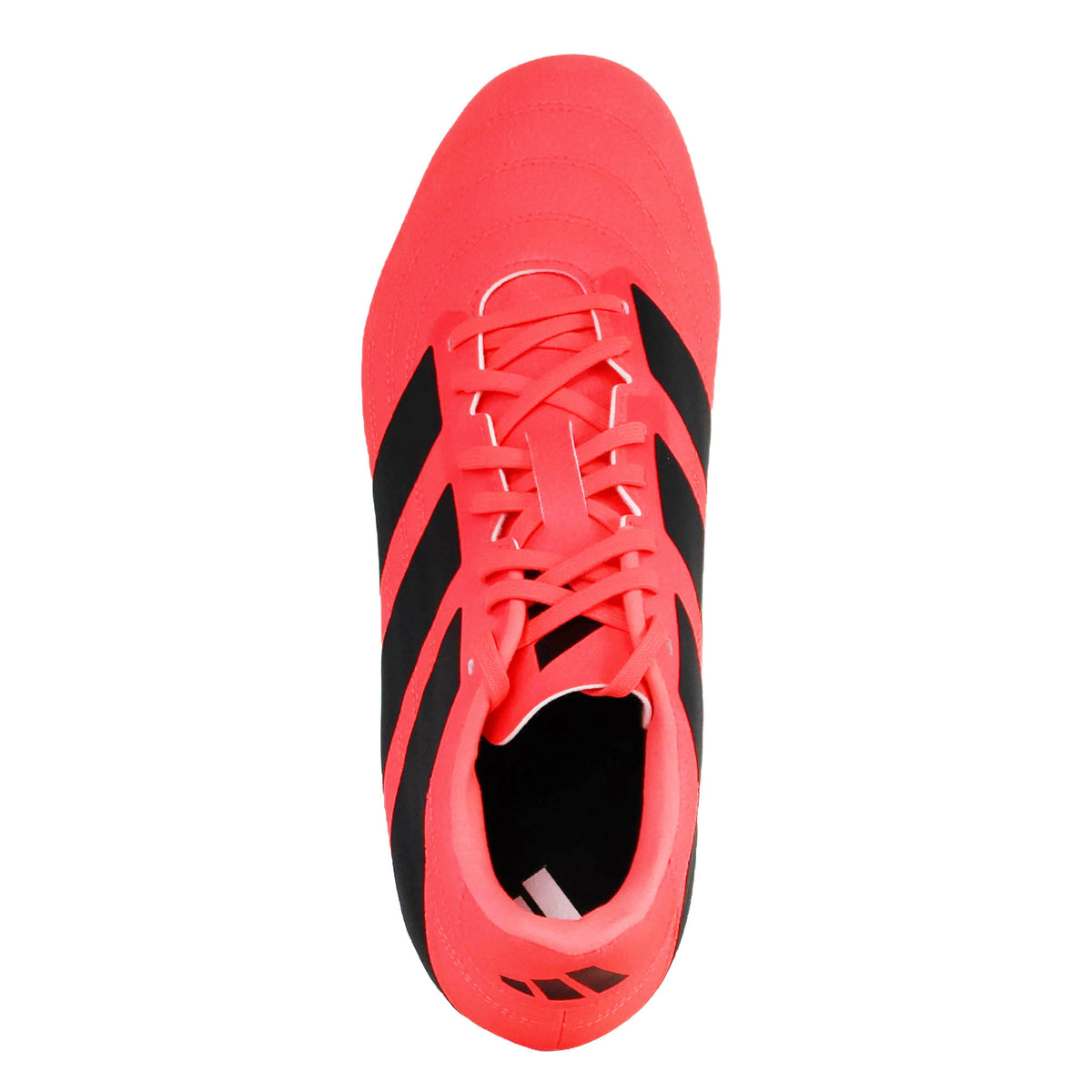 A top view of the adidas-Kakari SG Rugby Boots in bright pink with black stripes and matching pink laces, showcased on a white background—high-performance rugby boots from adidas designed specifically for soft ground play.