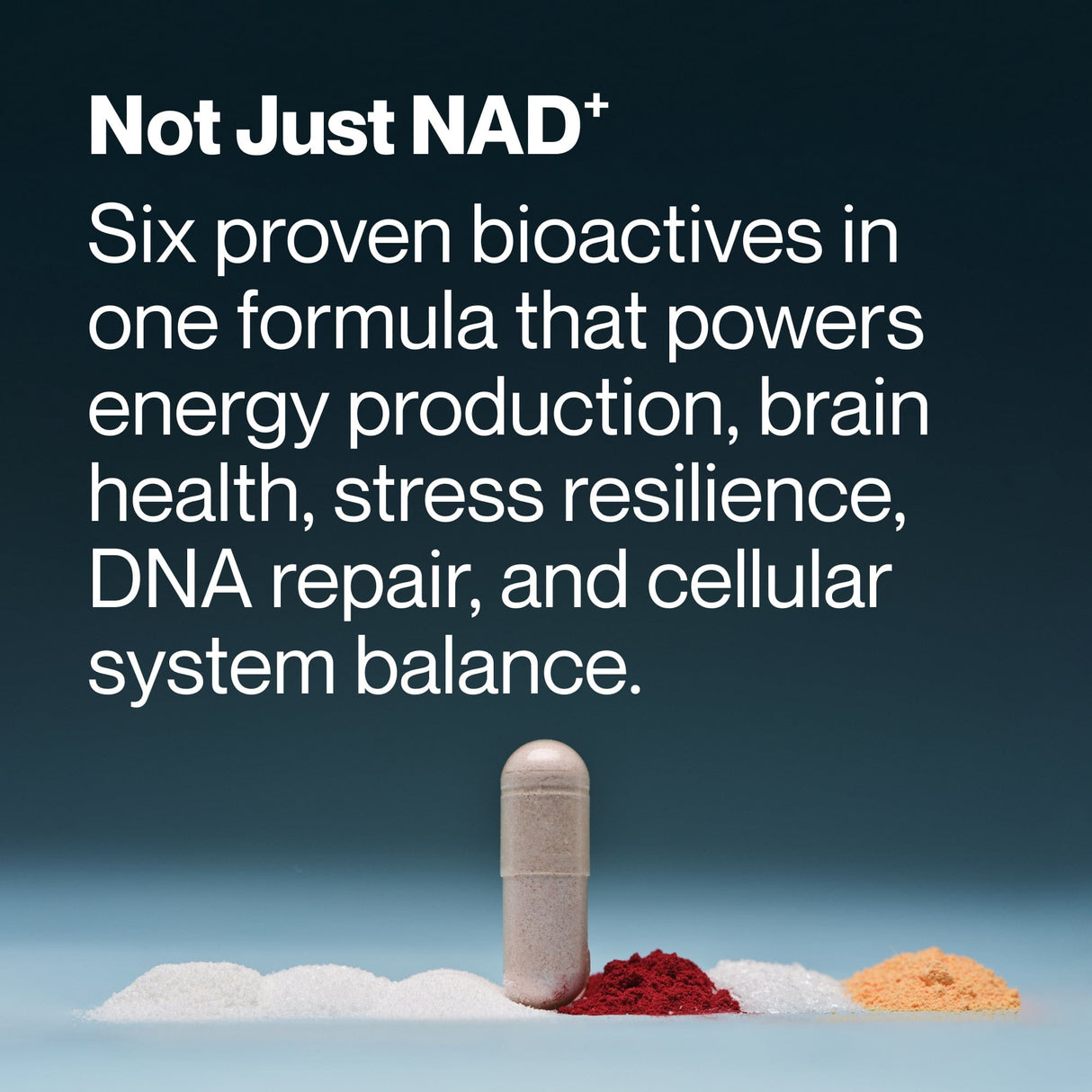 A Momentous Longevity capsule stands upright among three powder piles, highlighting its support for energy, brain health, NAD⁺, stress relief, DNA repair, and cellular balance from the brand Momentous.