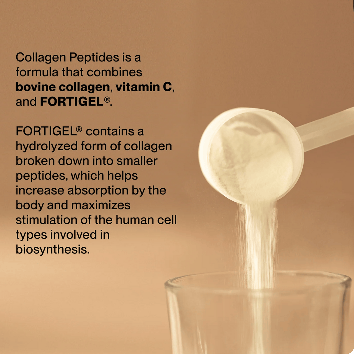 A scoop from Momentous COLLAGEN PEPTIDES 10-Pack Travel Pouches is poured into a glass, showcasing the benefits of collagen peptides with FORTIGEL® for absorption, biosynthesis, and joint health—perfect for rugby recovery.