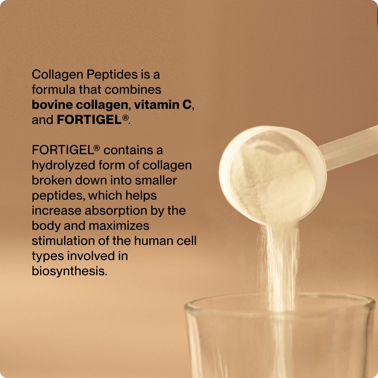 A scoop of Momentous Collagen Peptides being poured into a glass, with text highlighting how this supplement from Momentous supports skin elasticity and joint health by promoting collagen biosynthesis.