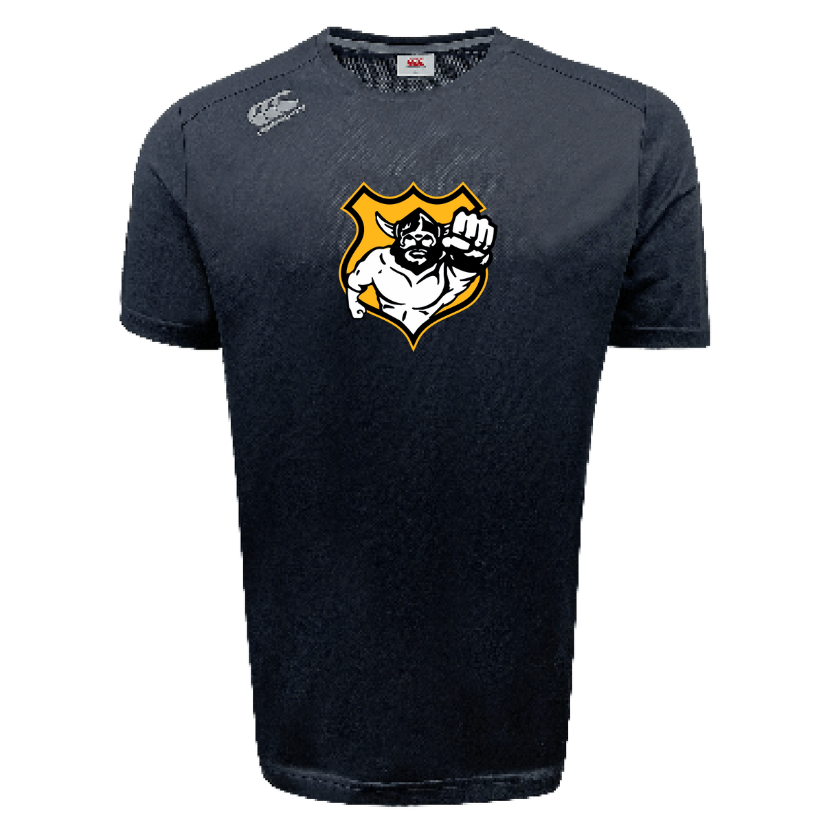 Seattle Vikings Rugby Tempo Vapodri T-Shirt by Canterbury