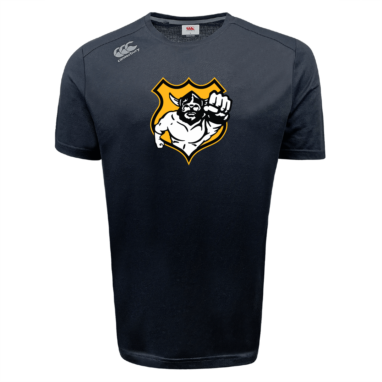 Seattle Vikings Rugby Tempo Vapodri T-Shirt by Canterbury