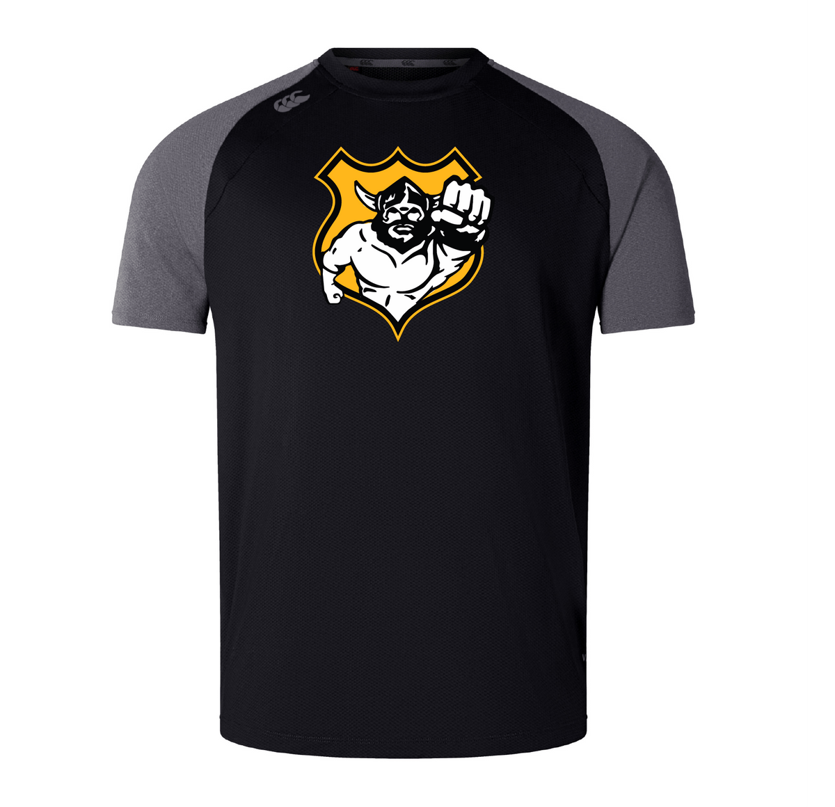 Seattle Vikings Rugby Elite Training Tee by Canterbury