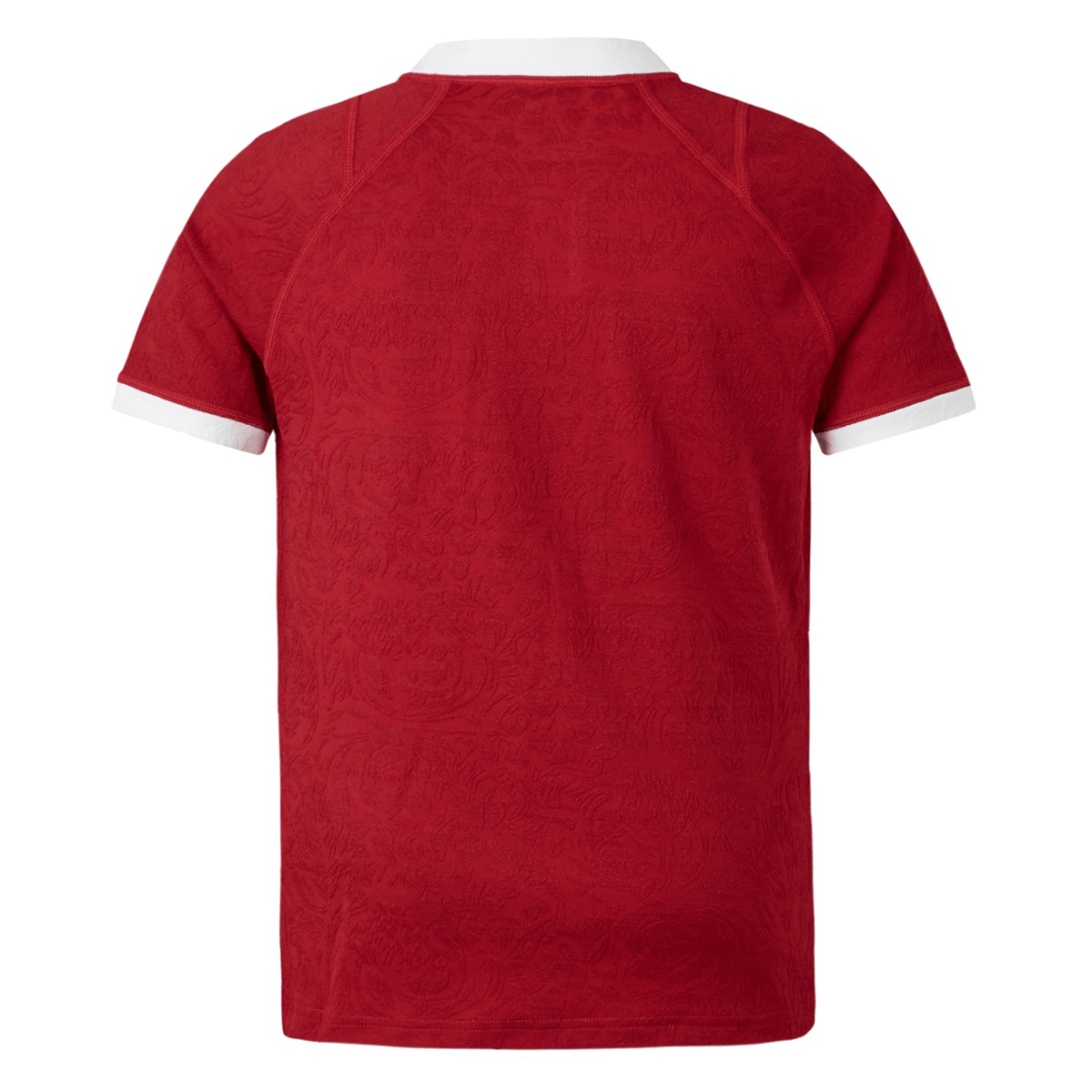Back view of the Youth British & Irish Lions 2025 Players Jersey by Canterbury, featuring a red design with a white collar and sleeve trim. The subtle abstract pattern and ergonomic paneling enhance both comfort and style.