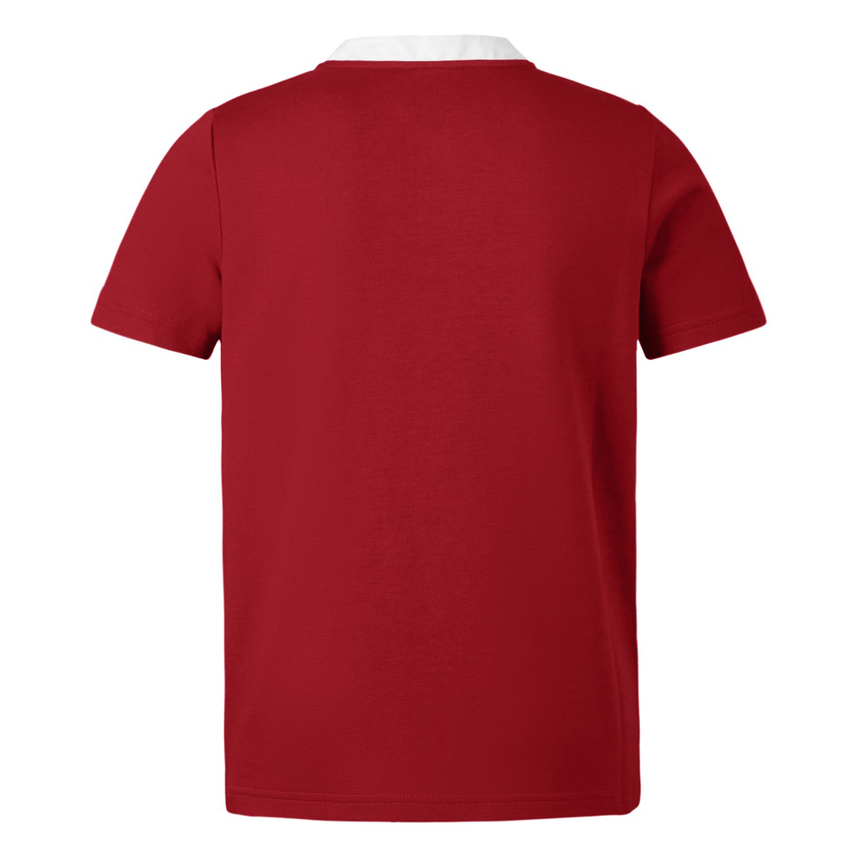 The Youth British & Irish Lions 2025 Classic Jersey by Canterbury is a classic red polo shirt with short sleeves and a white collar, viewed from the back.