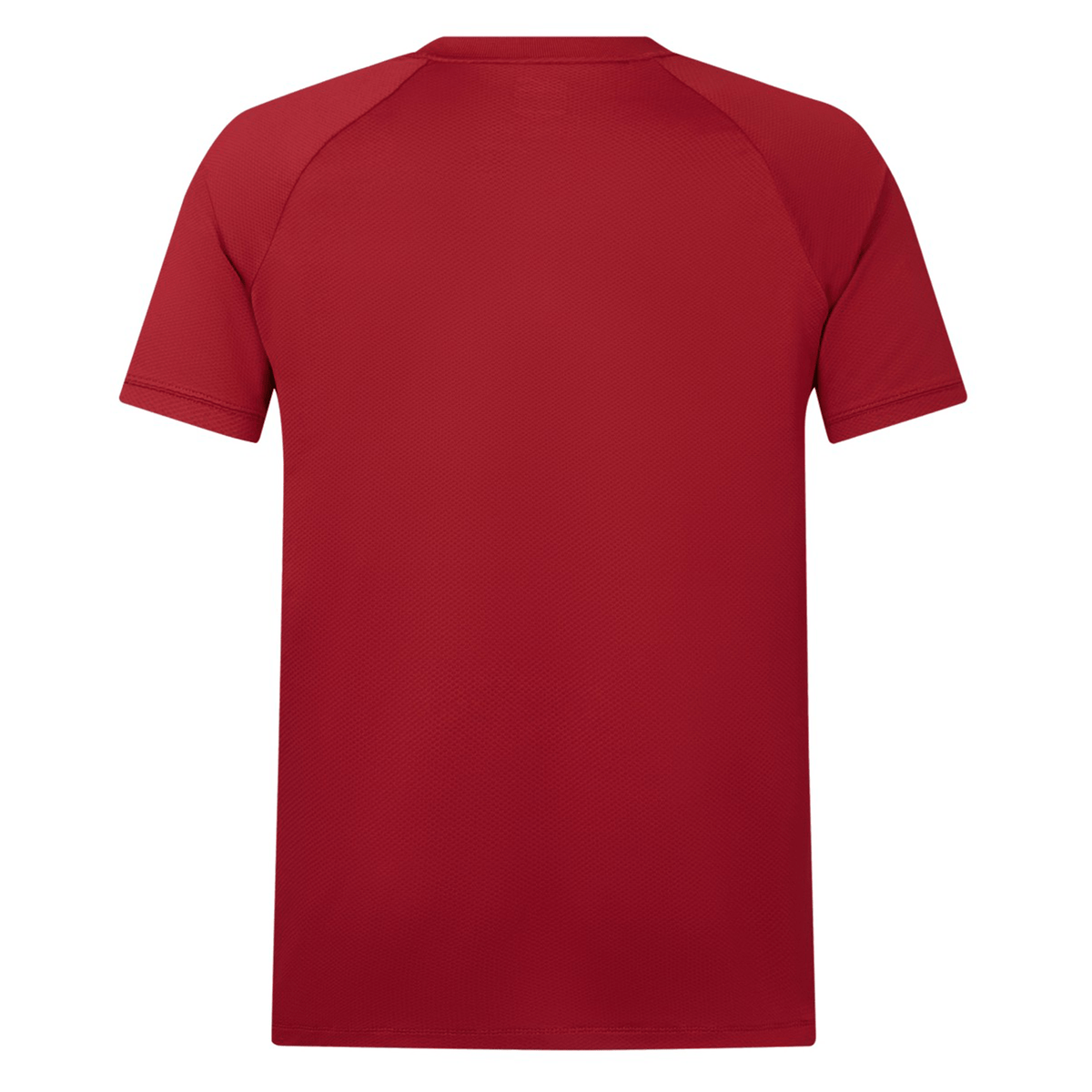 A plain red short-sleeve t-shirt, reminiscent of the classic British & Irish Lions 25 Poly Polo by Canterbury, viewed from the back.