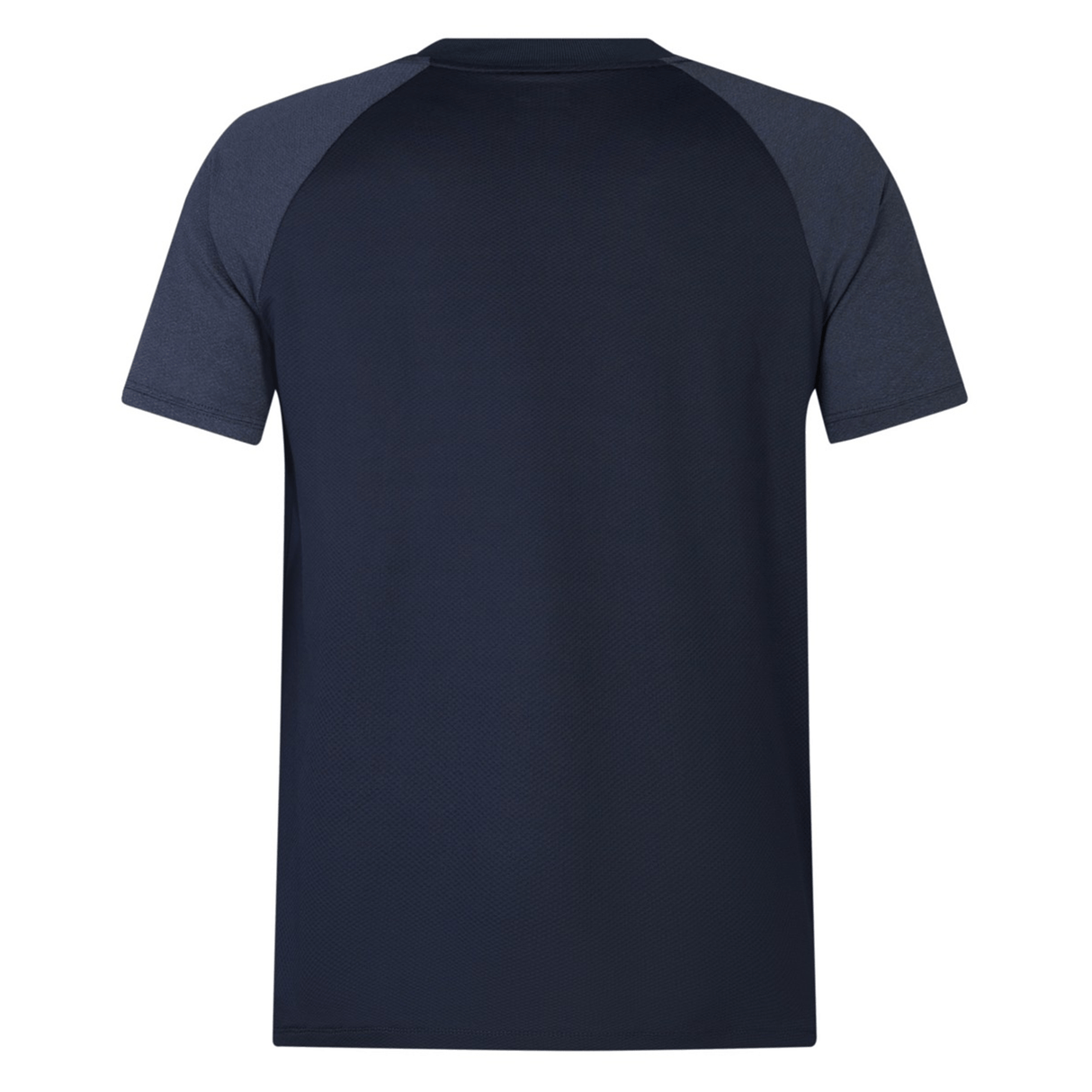 Back view of the British & Irish Lions 25 Poly Polo by Canterbury, featuring a navy blue design with dark sleeves, crafted from quick-drying, breathable fabric.