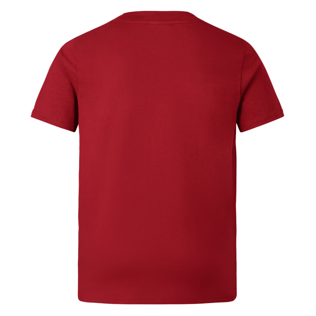 The Youth British & Irish Lions 2025 Cotton Jersey Tee by Canterbury, ideal for rugby supporters, shown from the back.