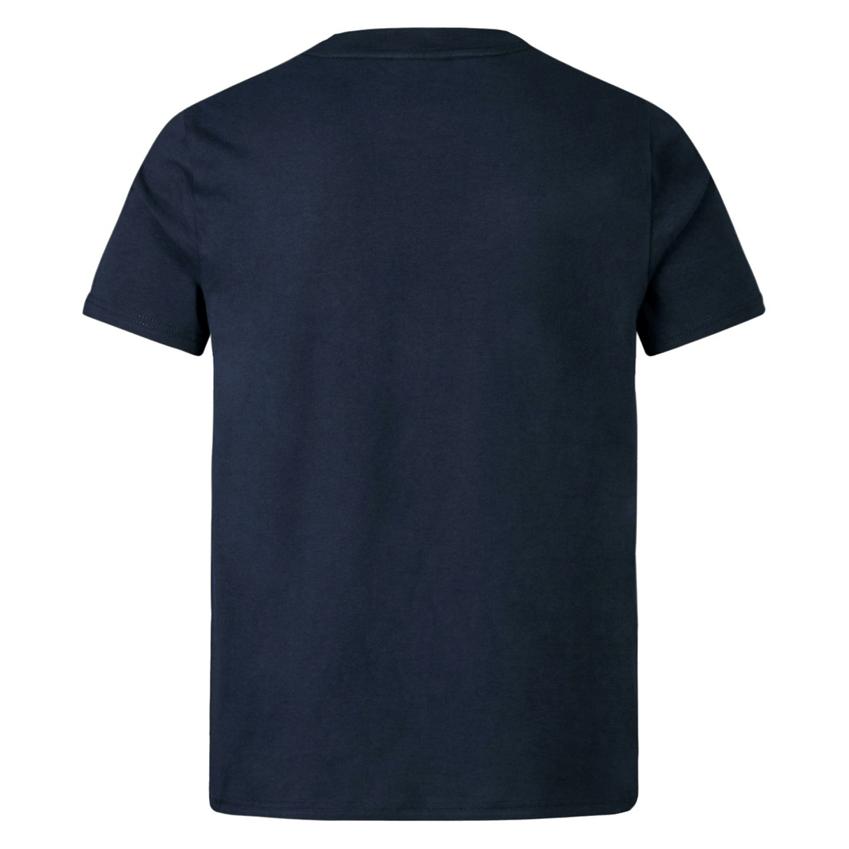 Back view of the Youth British & Irish Lions 2025 Cotton Jersey Tee by Canterbury, a navy blue T-shirt made from soft organic cotton, ideal for any rugby supporter.