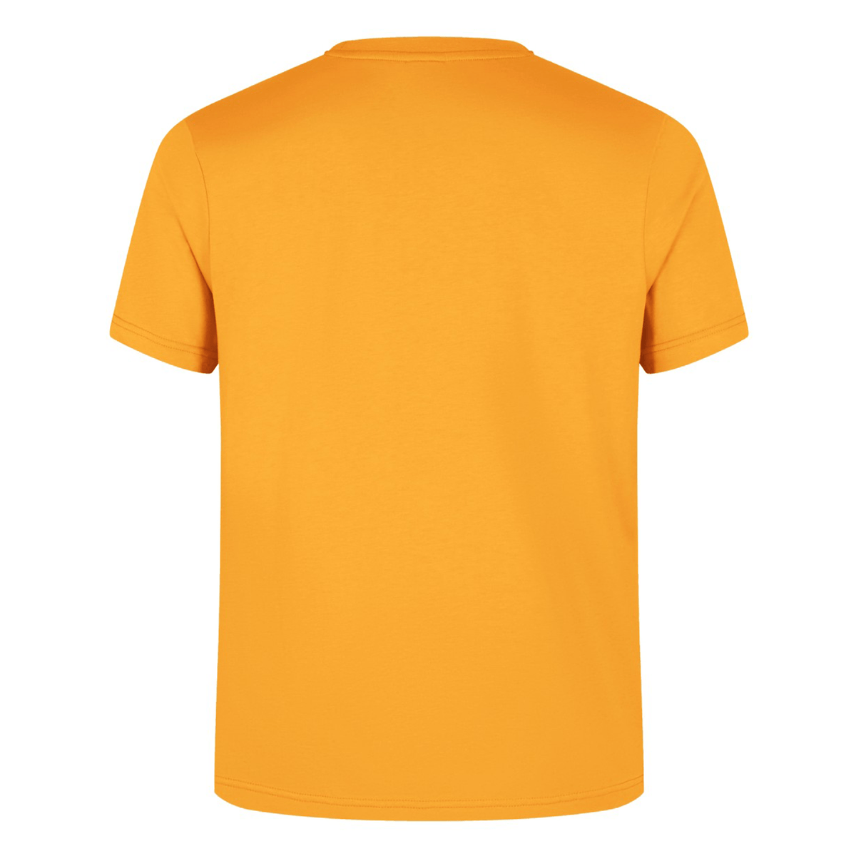 The Canterbury Fundamental T-Shirt, by Canterbury, is shown from the back in an orange color and classic fit with a CCC logo design against a white background.