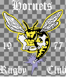 Hornets Rugby Club EMB Logo by EMB World Rugby Shop featuring a hornet holding a rugby ball, the numbers "19" and "77," and stylized white text on a transparent background.
