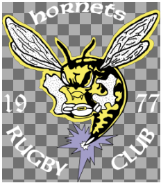 A cartoon hornet with a rugby ball in its mouth is featured at the center of the Hornets Rugby Club 1977 3in EMB Logo by EMB World Rugby Shop, surrounded by "hornets RUGBY CLUB 1977" in white text.