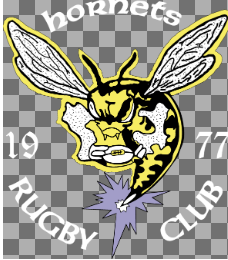 Here’s a rewritten sentence using the provided product data: The Hornets Rugby Club 1977 Full Size HP Logo by Stahl's features a yellow hornet holding a rugby ball, with "1977" and the club name in white text on a transparent background.