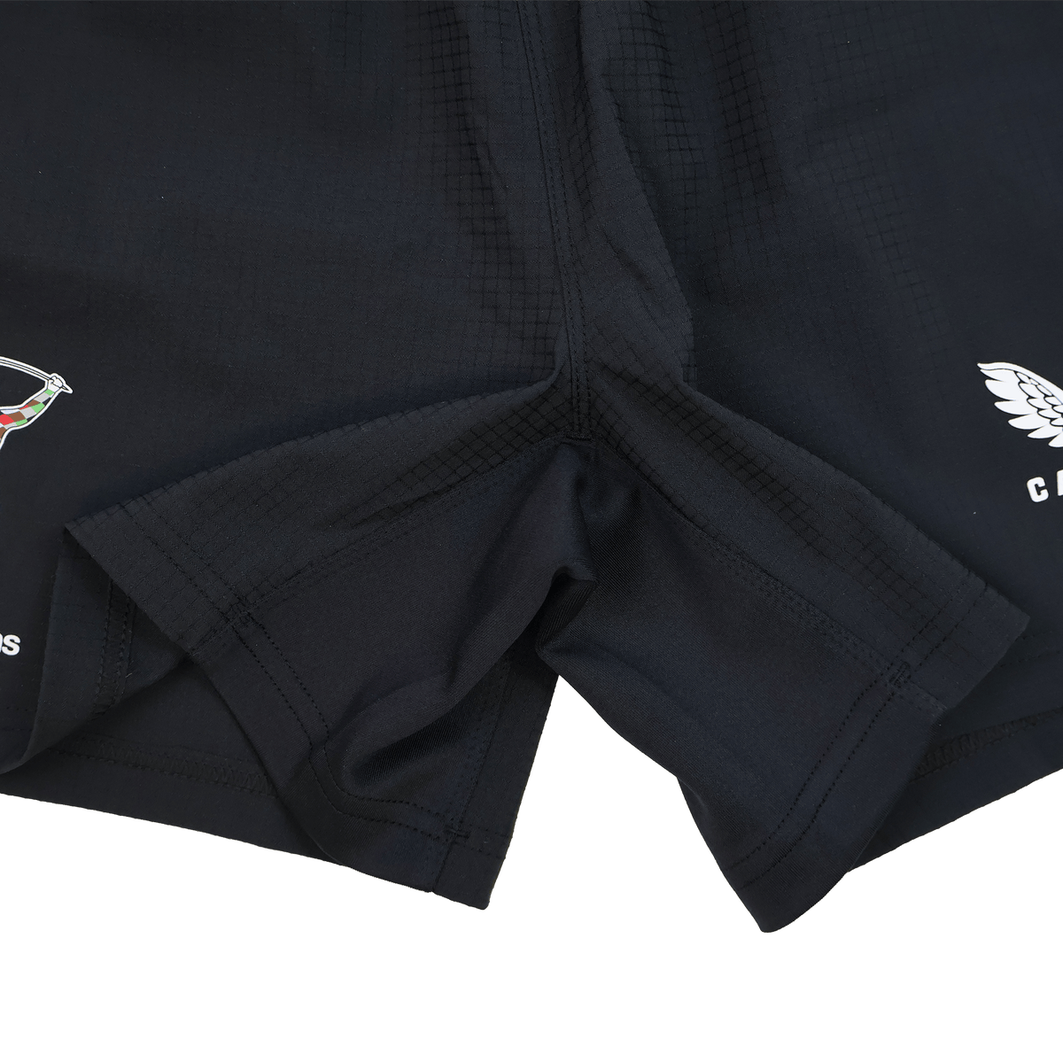 Close-up of the crotch area of Castore Harlequins 23/24 Home Shorts, showing stitching details and partial leg logos.