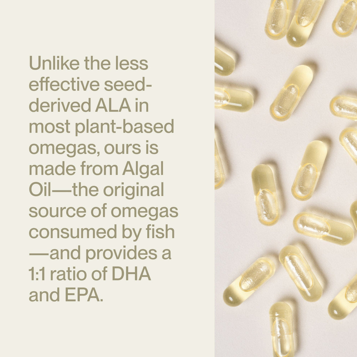 Momentous Vegan Omega-3 capsules rest on a pale surface beside text highlighting Momentous as a plant-based alternative to seed-based ALA, providing vegan Omega-3 from algal oil with a 1:1 DHA to EPA ratio.