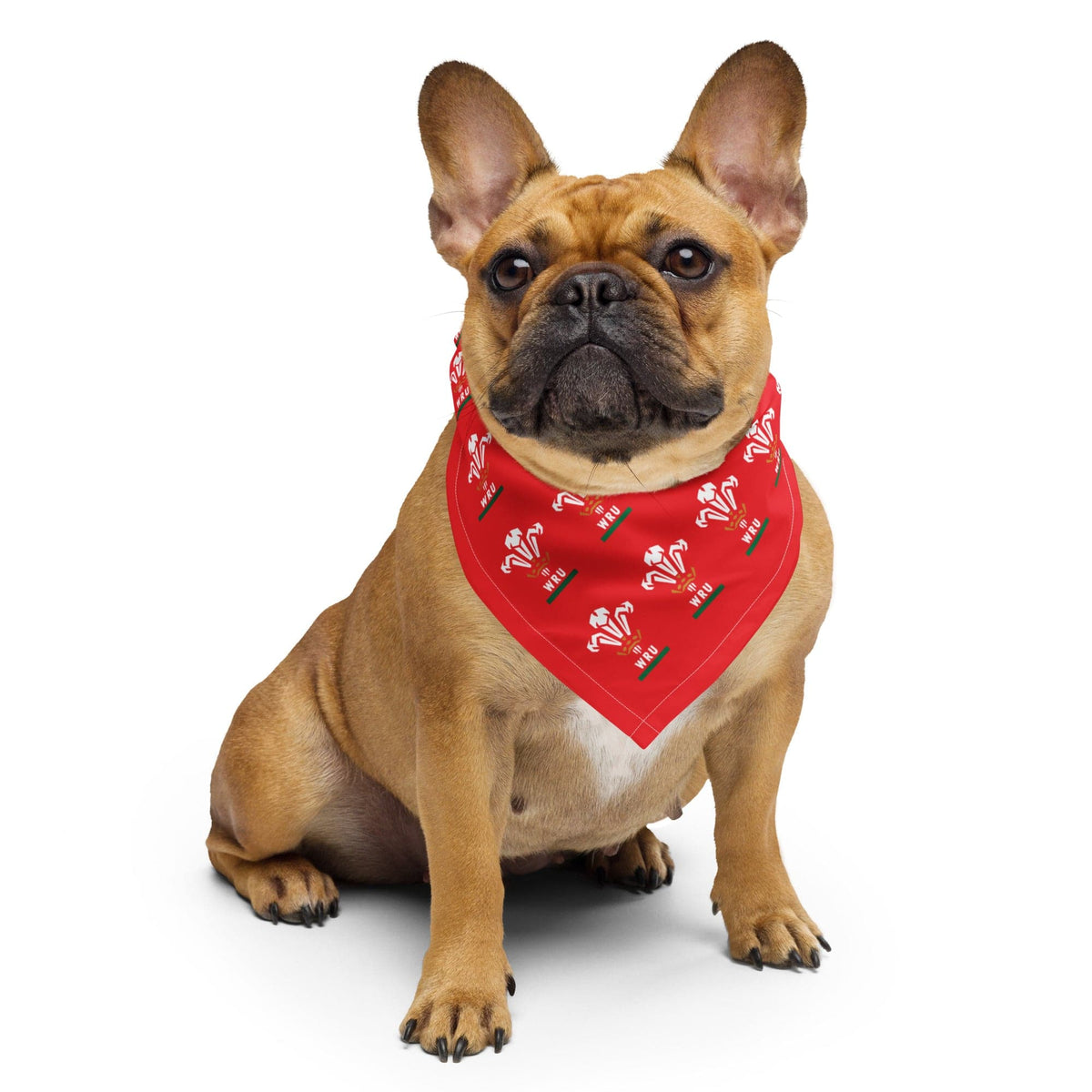 Dog wearing a Red bandana with a pattern of WRU logos.