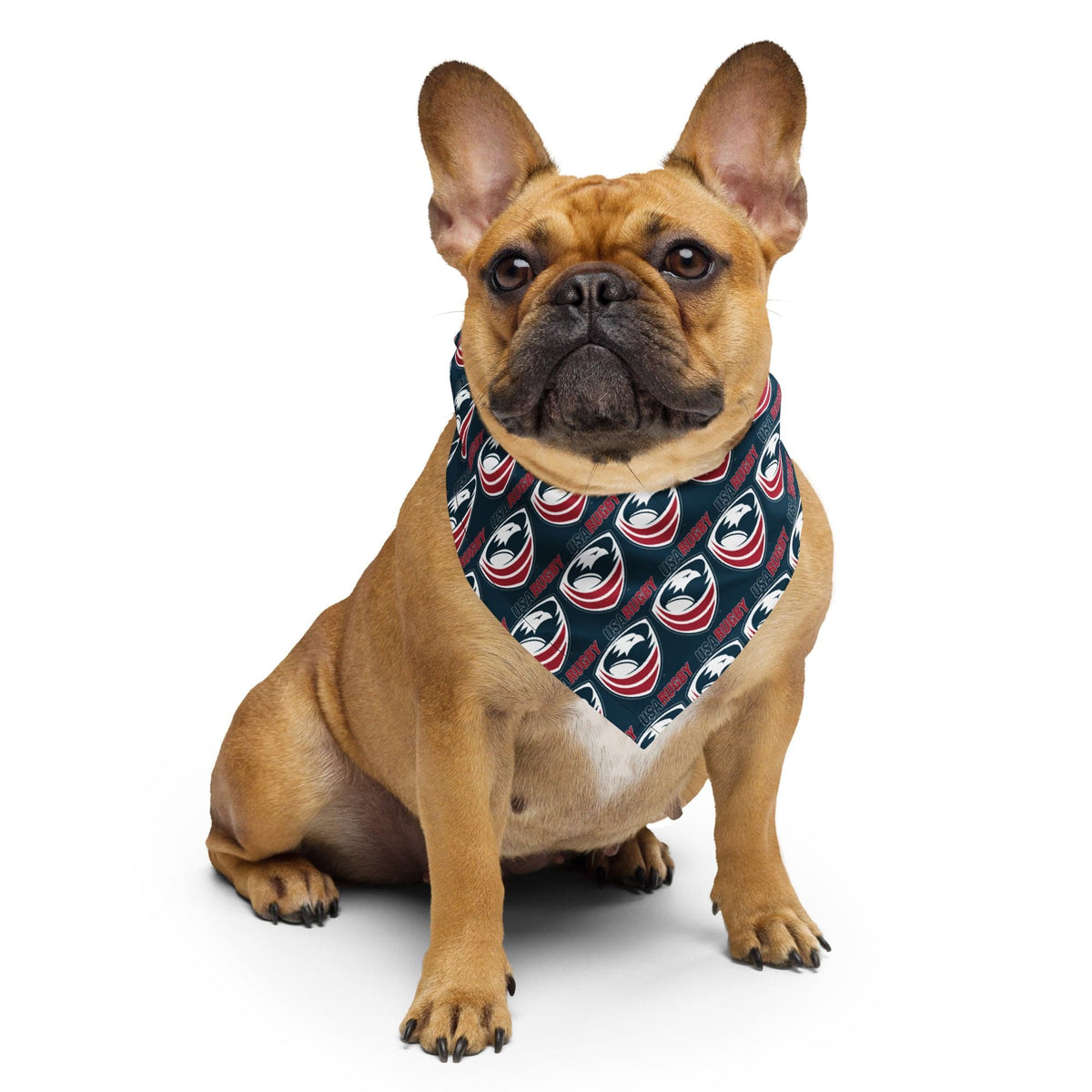 Dog wearing a USA rugby bandana featuring a pattern of UASR logos.