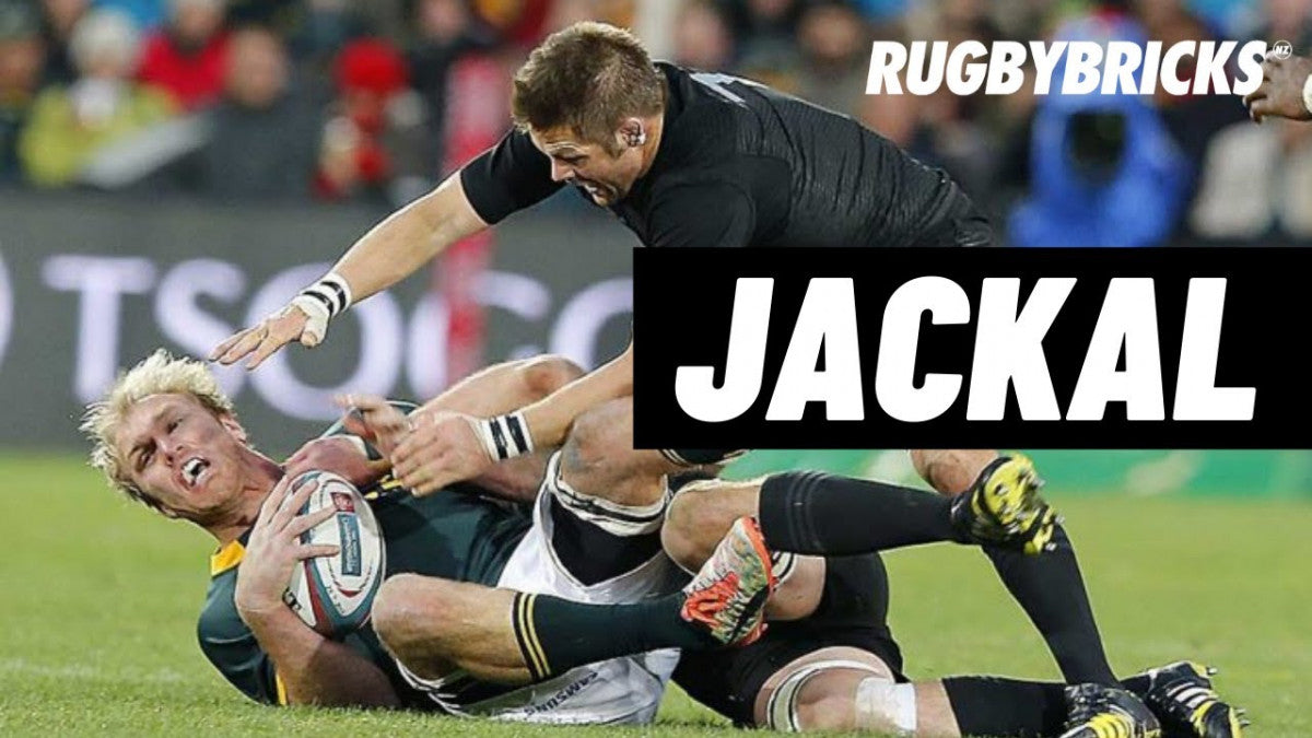 The Art Of The Jackal | @rugbybricks Ben Herring