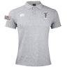 The Dallas Harlequins Lions Origin Waimak Polo by EMB Canterbury is a light grey short-sleeve polo with chest embroidery, a "LIONS" patch on the left sleeve, and made from a comfy cotton-polyester blend.