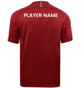 Back view of a Seattle Vikings Evader Jersey - Training Kit by EMB Canterbury, featuring "PLAYER NAME" in white text across the upper back.