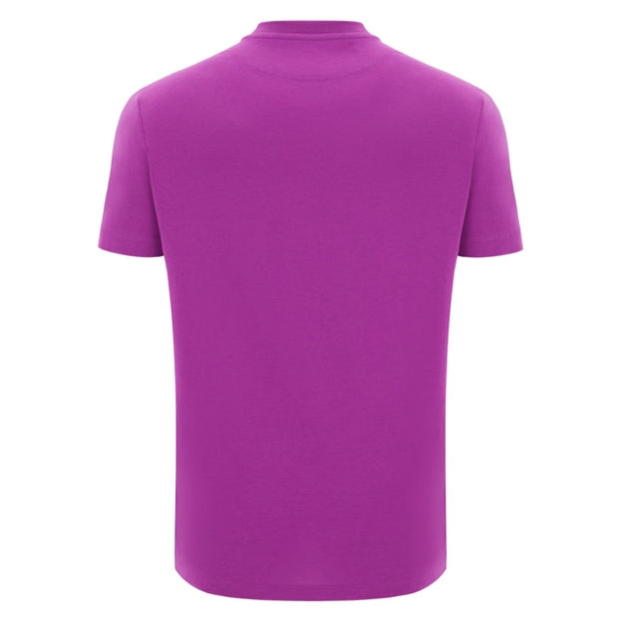 The Scotland 25/26 Leisure T-Shirt by Macron, a plain short-sleeved purple tee, is shown from the back against a white background.