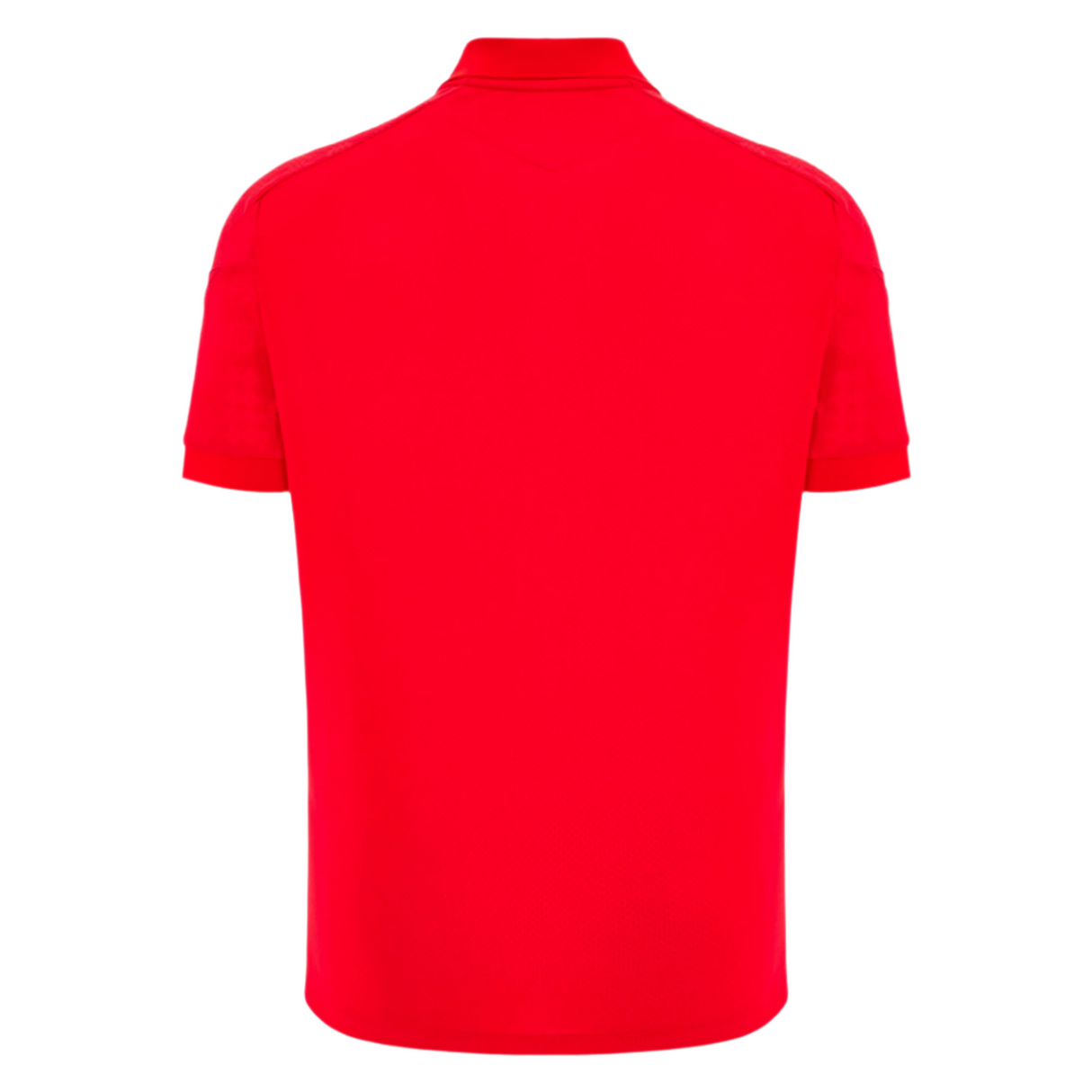 The Wales 25/26 Player Travel Poly Polo by Macron is shown from the back against a light gray background.