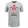 Macron Wales Rugby Union Logo Print Tee - grey.