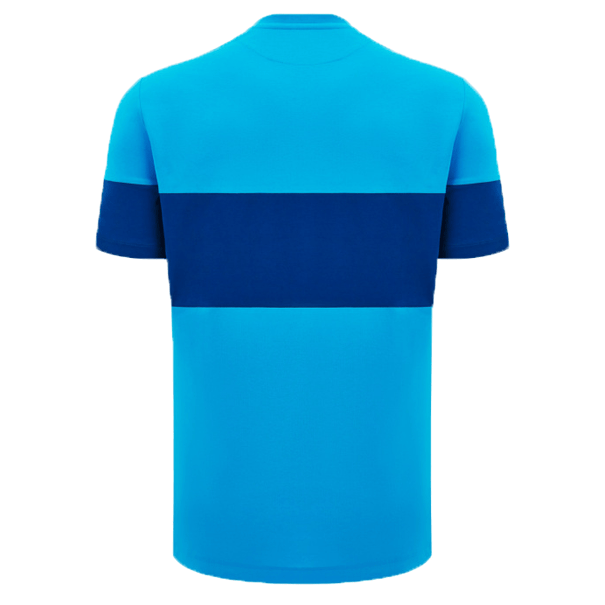 Back view of the Scotland Block Leisure Tee 24/25 by Macron, featuring short sleeves and a broad horizontal dark blue stripe across the middle. Perfect for fans of Scotland Rugby Union.