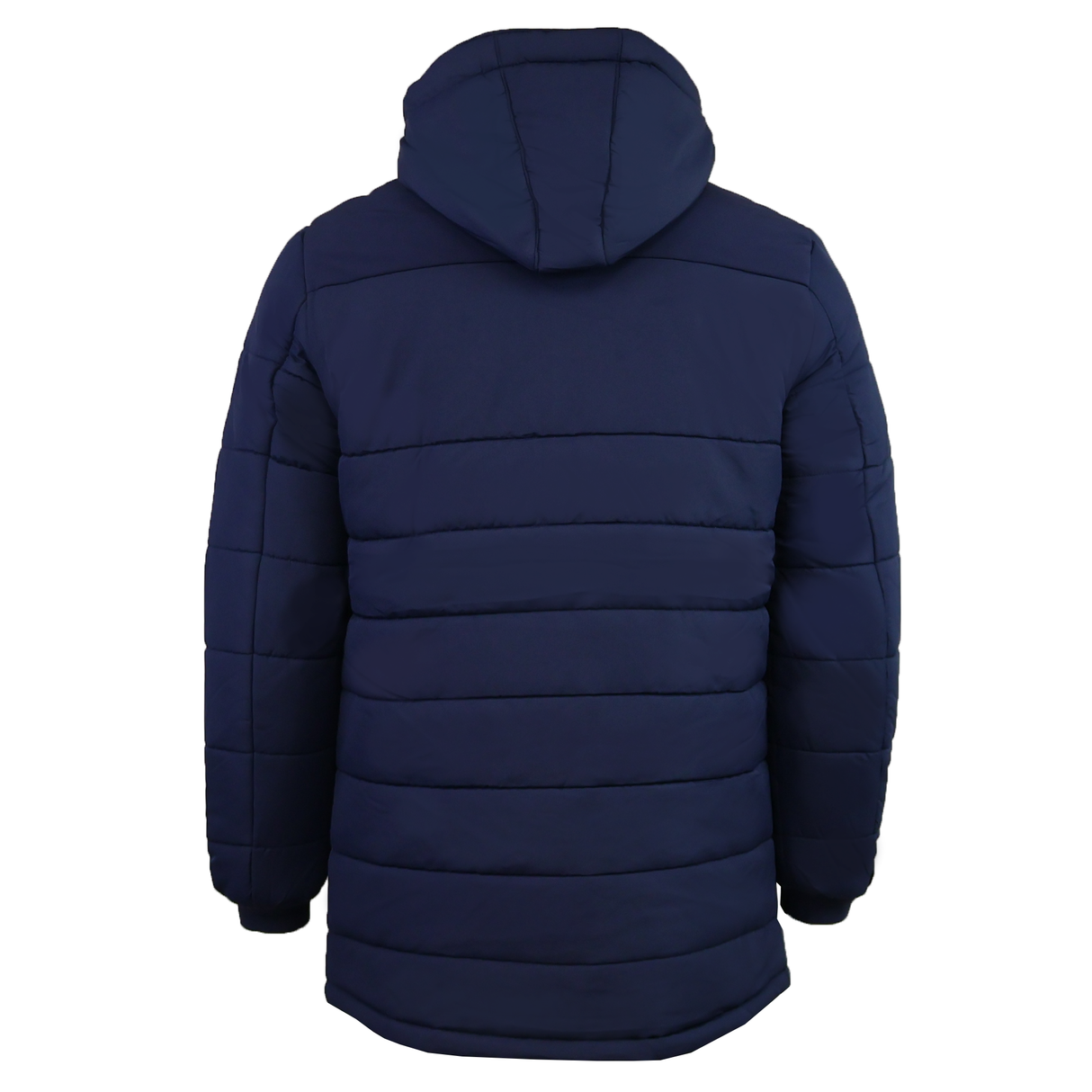 The USA Rugby 25/26 Padded Jacket by Macron, featuring a navy blue color and hood, is shown from the back against a plain white background.