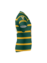 The Teamatical Arkansas Gryphons Canterbury Raiona Test Jersey is a green and yellow striped short-sleeve sports jersey with a tiger logo and "CELEBRATING 75 YEARS" text on the chest, shown from the side.