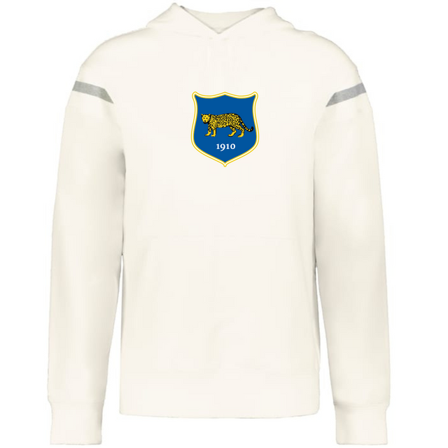 The Argentina Heritage Prep Vintage Shield Hoodie by WRS Augusta features a blue and yellow emblem with a cheetah and 1910, celebrating Argentina heritage.
