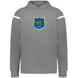 The WRS Augusta Argentina Heritage Prep Vintage Shield Hoodie is gray with white sleeve stripes and a blue vintage cheetah crest featuring "1910," inspired by Argentina Heritage.