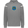 The WRS Augusta Argentina Heritage Prep Vintage Shield Hoodie is gray with white sleeve stripes and a blue vintage cheetah crest featuring "1910," inspired by Argentina Heritage.