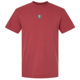 The British & Irish Lions Vintage Comfort Tee by EMB S&S Activewear is a plain maroon shirt with a small, colorful crest emblem centered on the upper chest.