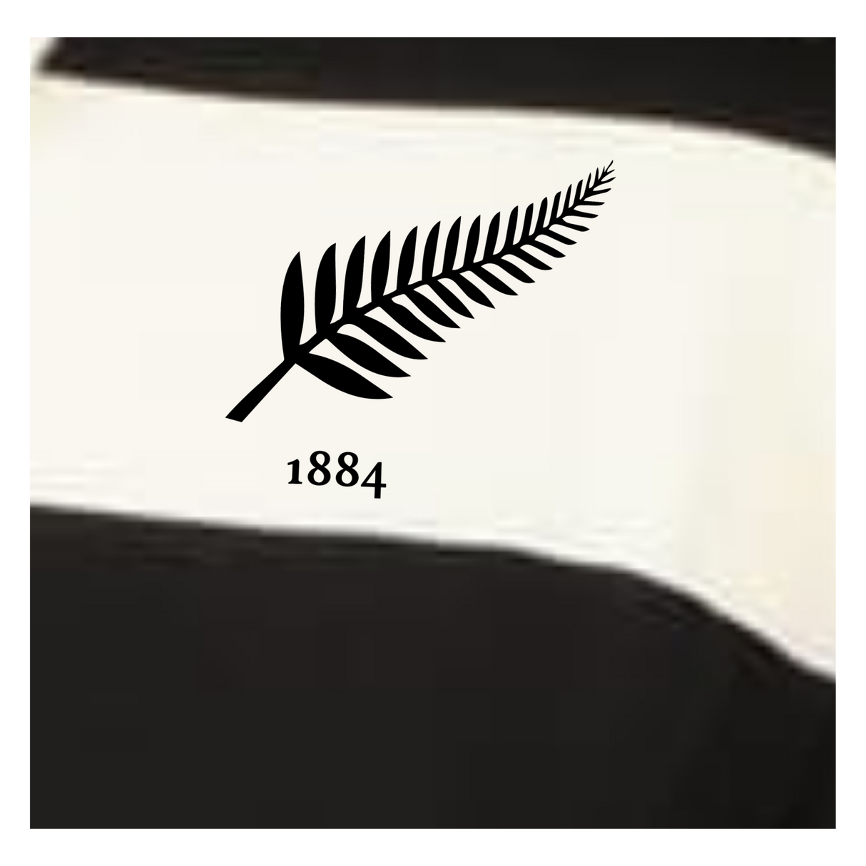 The EMB Augusta Women's Vintage New Zealand Prep Street Rugby Crop features black and white stripes with a bold black fern and "1884" graphic, inspired by classic New Zealand rugby shirts.
