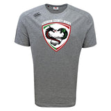 The Loudoun Tempo Vapodri T-Shirt by WRS Canterbury boasts a moisture-wicking gray fabric, adorned with a "Loudoun County Rugby" logo featuring a stylized dragon, and is enhanced with VapoDri technology for peak performance.