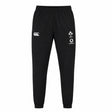 The Ireland 25/26 Gym Training Pant by Canterbury features black athletic pants with white Canterbury, IRFU, and Vodafone logos on the upper thighs. Displayed on a plain white background, these authentic Canterbury rugby pants are an essential part of Ireland Rugby training wear—perfect for fans seeking official gym training attire.