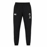 The Ireland 25/26 Gym Training Pant by Canterbury features black athletic pants with white Canterbury, IRFU, and Vodafone logos on the upper thighs. Displayed on a plain white background, these authentic Canterbury rugby pants are an essential part of Ireland Rugby training wear—perfect for fans seeking official gym training attire.