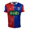 The Knights NRL 25/26 Special Edition Captains Run Jersey by Classic Sportswear features red and blue colors with white lines, the "nib" logo, Newcastle Knights emblem, and sponsor logos on the sleeves.