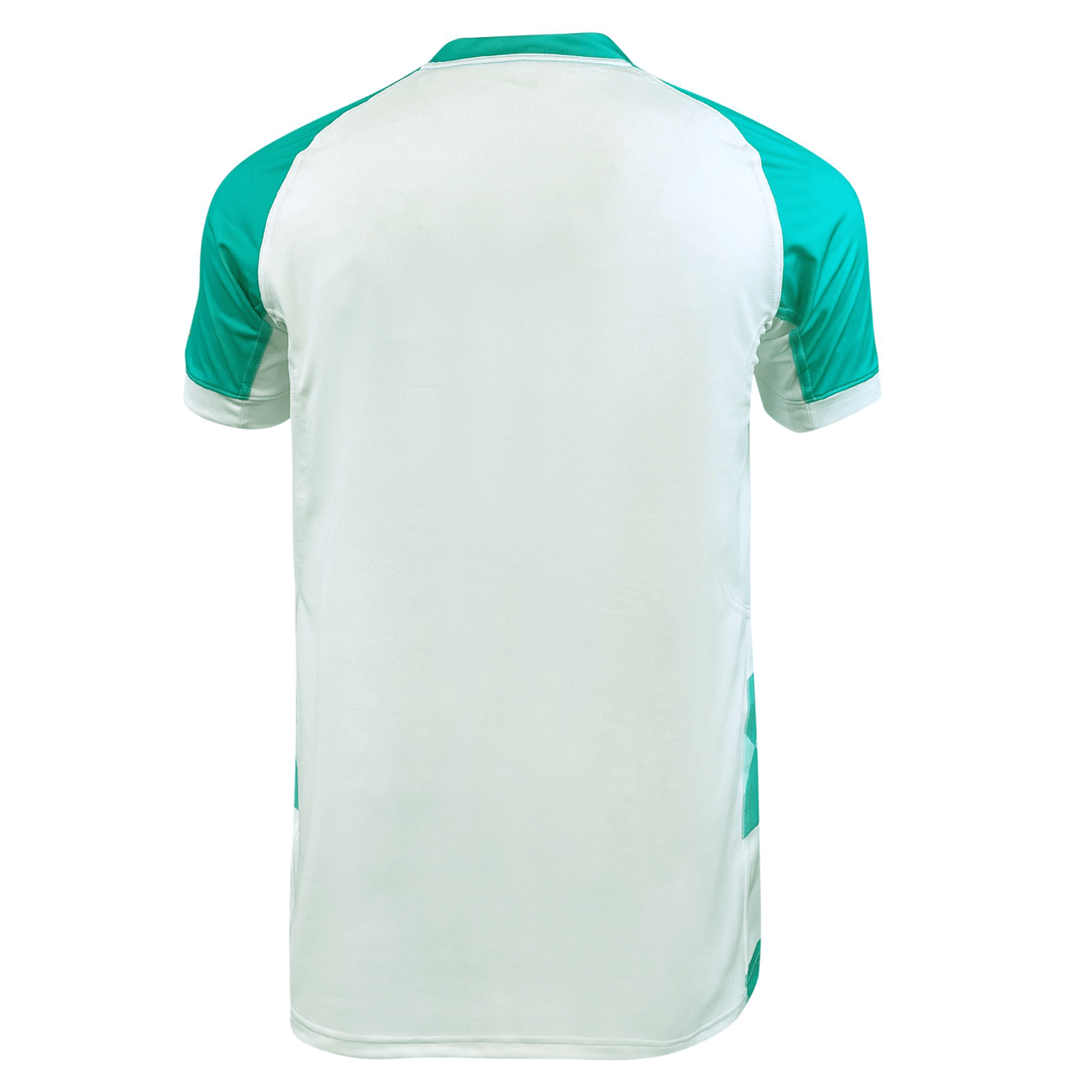 Ireland Rugby World Cup 23 Away Pro Jersey by Canterbury - White