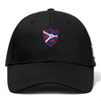 The Fort Wayne Rugby Flexfit Drill Cap by EMB Canterbury, in black, features an embroidered shield-shaped emblem with a bear, dinosaur, lighthouse, and the date 1959—combining style and nostalgia perfectly.
