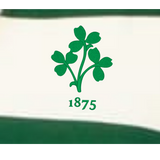 A green shamrock with "1875" beneath it is centered on a white background bordered by green stripes—perfect for fans of the EMB Augusta Women's Vintage Ireland Prep Street Rugby Crop.