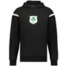The WRS Augusta Ireland Heritage Prep Vintage Shield Hoodie is black with white sleeve stripes and a green and white "1875" crest on the chest.