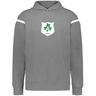 The WRS Augusta Ireland Heritage Prep Vintage Shield Hoodie is gray with white sleeve stripes and a green and white chest crest featuring "1875" and three clovers.