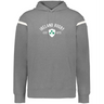 The WRS Augusta Ireland Est 1875 Heritage Prep Vintage Shield Hoodie features a gray design with white sleeve stripes and a shamrock crest, perfect for showcasing classic Irish style.