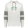 Show your support with the WRS Augusta Nations of Rugby Ireland Est 1875 Jackson Way Hoodie, featuring grey-striped sleeves, front pocket, and bold green "Ireland Rugby EST. 1875" text with shamrock graphic—perfect for true fans.